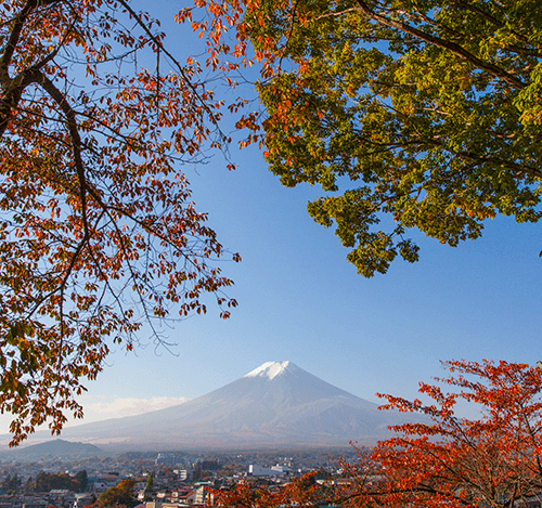 Fuji